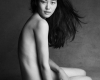 Liu Wen model